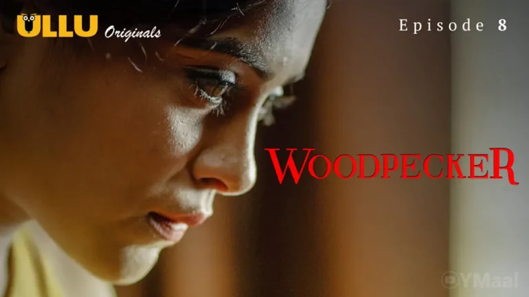 Woodpecker Episode 8